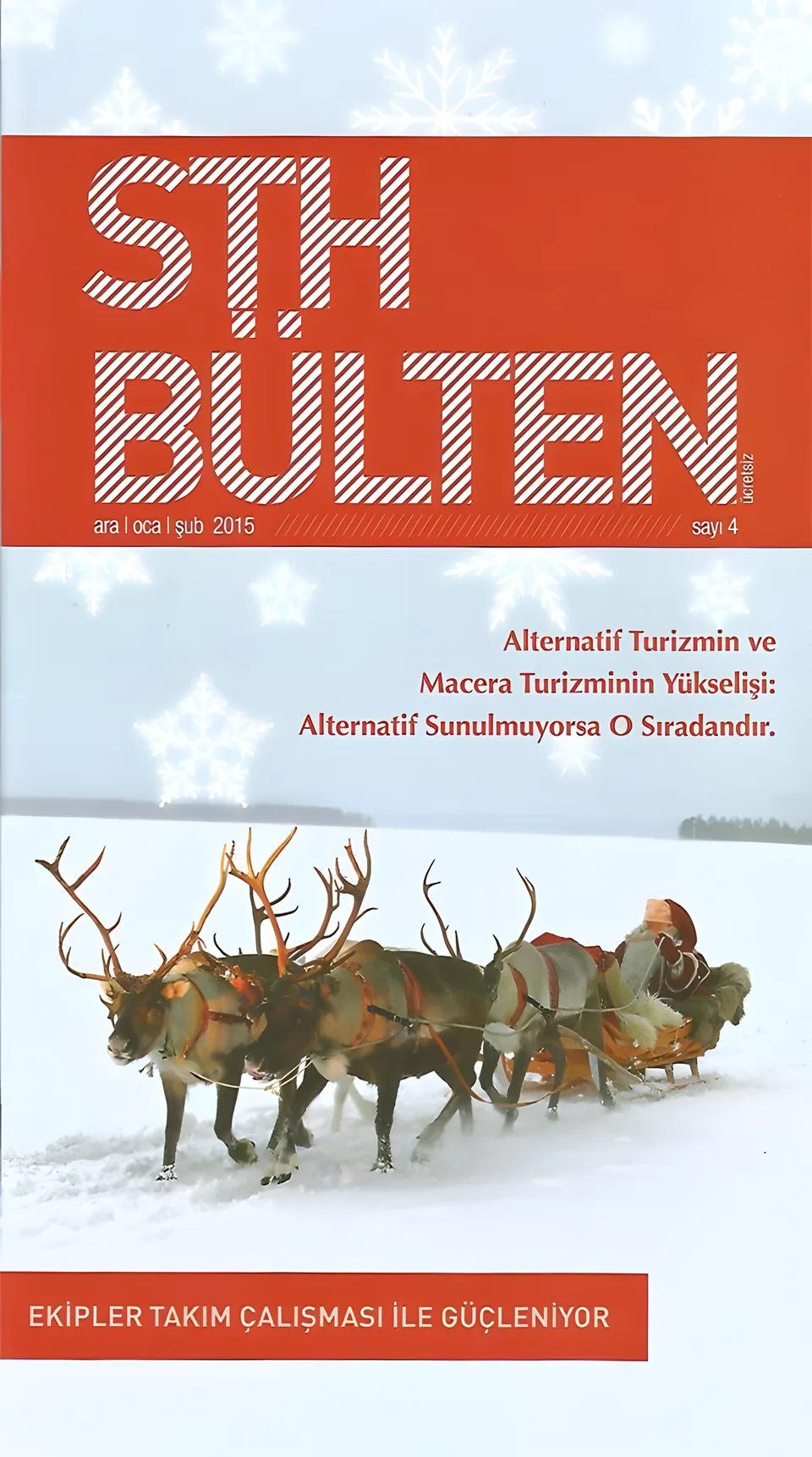 STH Bülten – Erdem Genç